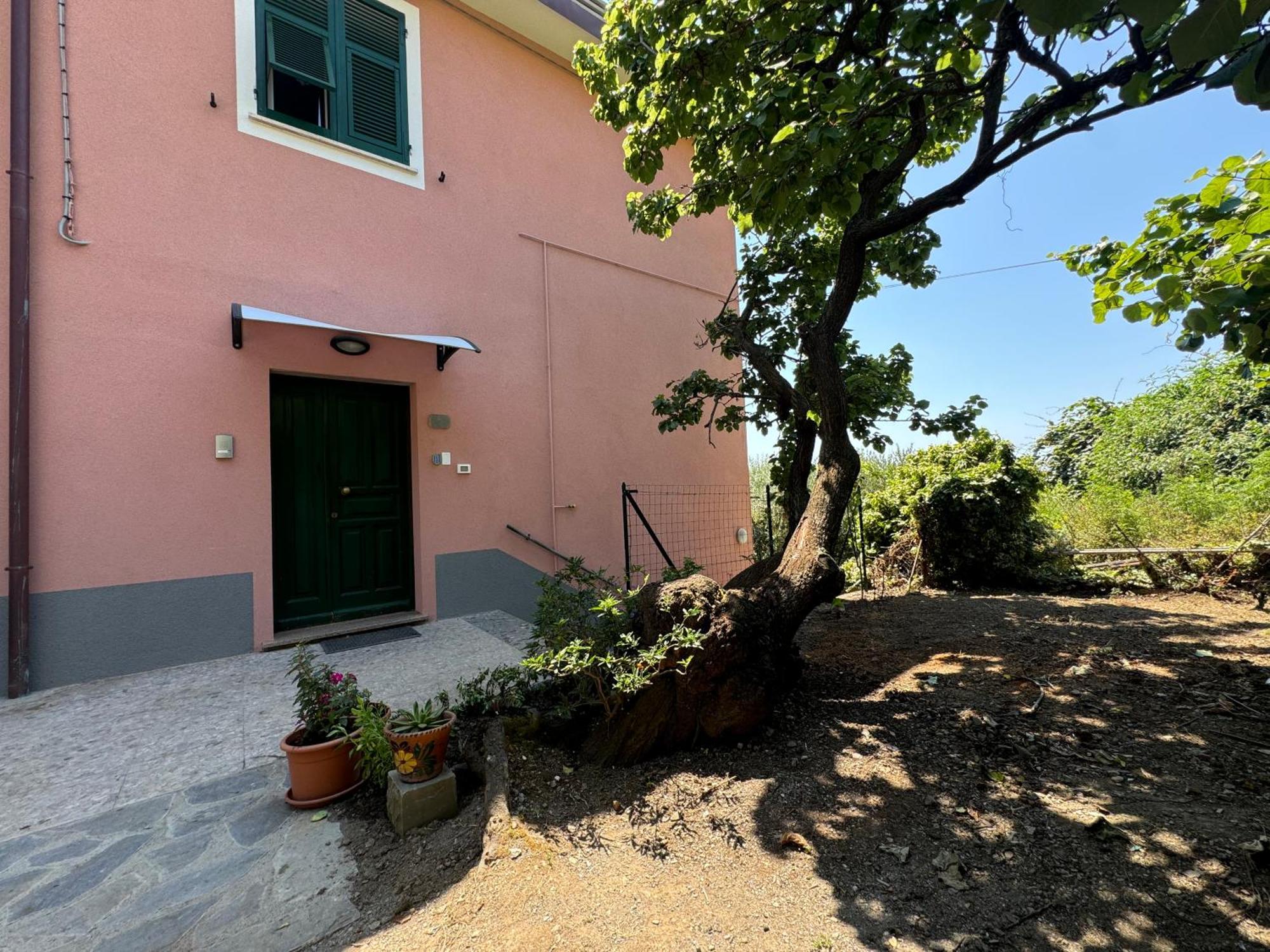 Ca' Dii Buersa - Homy 5 Terre Apartment Volastra Bagian luar foto